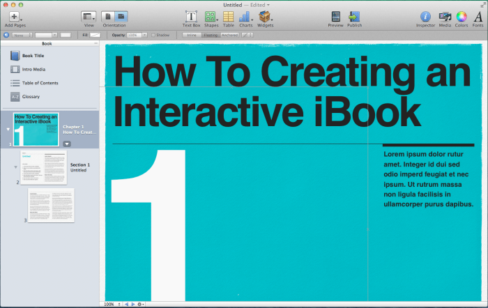 Ebook